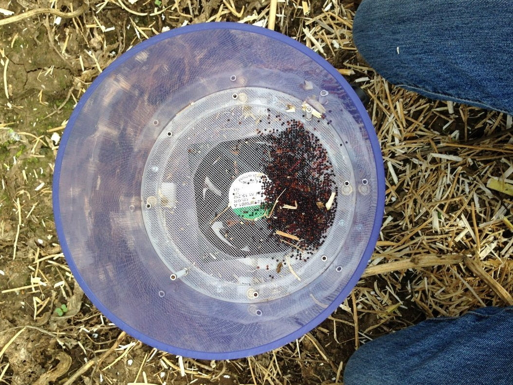 Field Fan