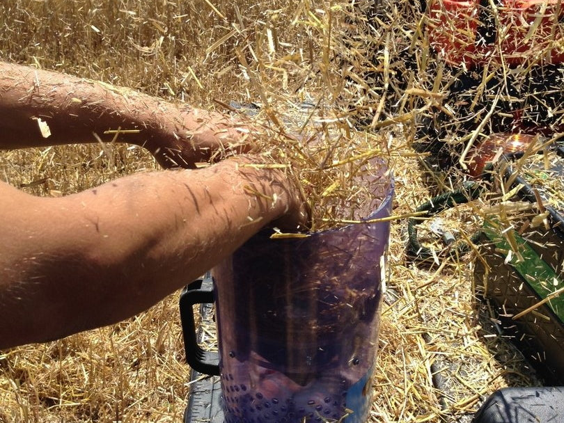 Field Fan
